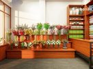 FLOWER-BOX-SHOPHOUSE