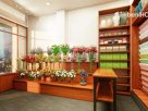 FLOWER-BOX-SHOPHOUSE