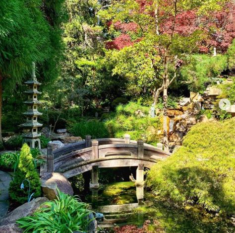SHAKKEI Nghệ thuật “mượn cảnh”
