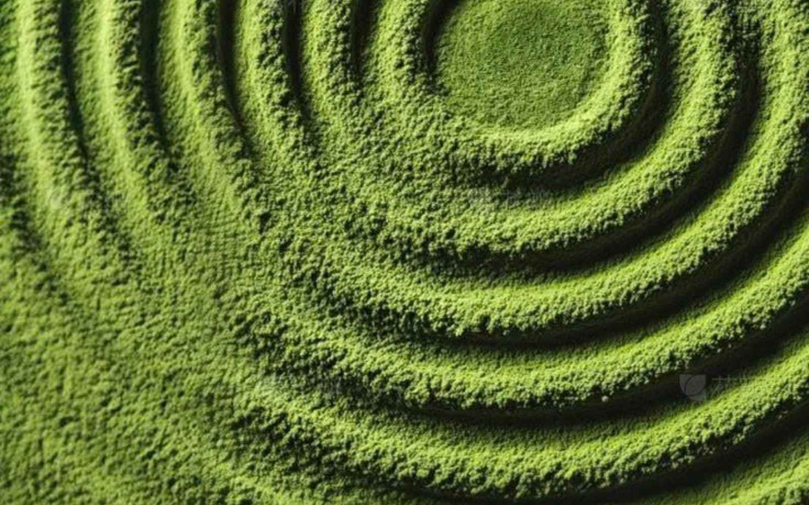 Matcha Kyoto